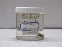 藏品(眼眶魚)的圖片